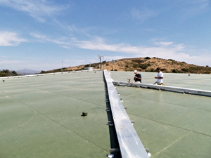 Leveling the Magnetic Playing Field