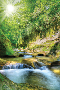 RWELLS: Using a Living Lab to  Advance Water Utility  Asset Management