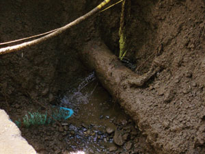 Leak Detection: A Step toward  Accountability
