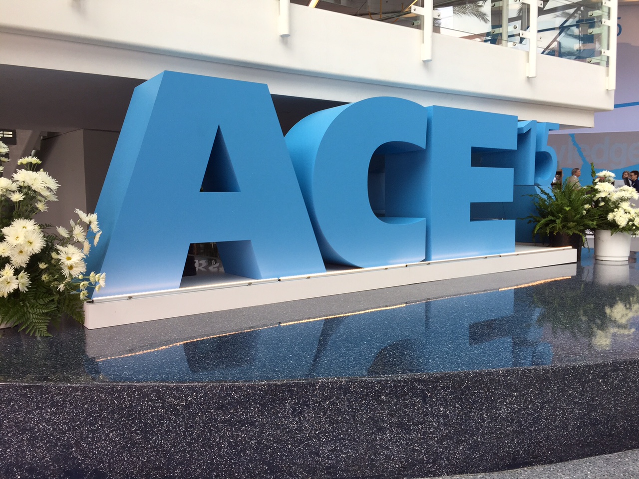 Water Loss, Smart Cities Highlight Dialogue at ACE15