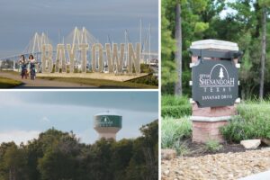 Houston-area utilities to deploy AMI