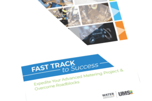 Fast Track to Success: Overcoming Roadblocks to Advanced Metering Programs