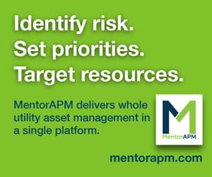Mentor APM