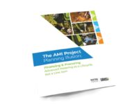 The AMI Project Planning Illusion