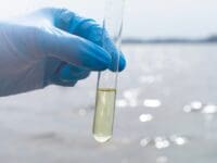 New study maps water quality violation hotspots