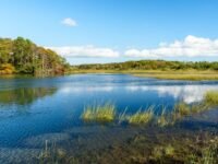 Aspen Institute study presents strategy for U.S. water sustainability