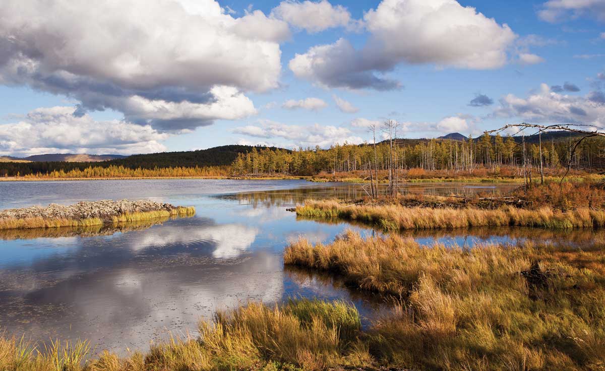 scenic wetland